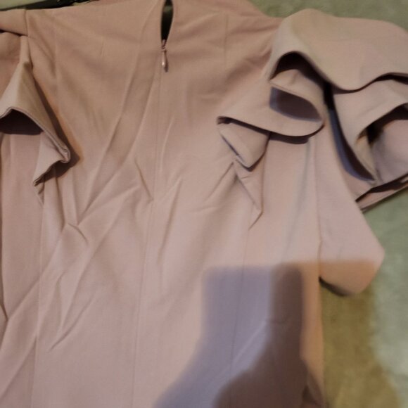Elliatt Nordstrom Rare Chic Elegant Tanner Blush Pink Ruffle Sleeve Mini‎ Dress - Picture 7 of 8